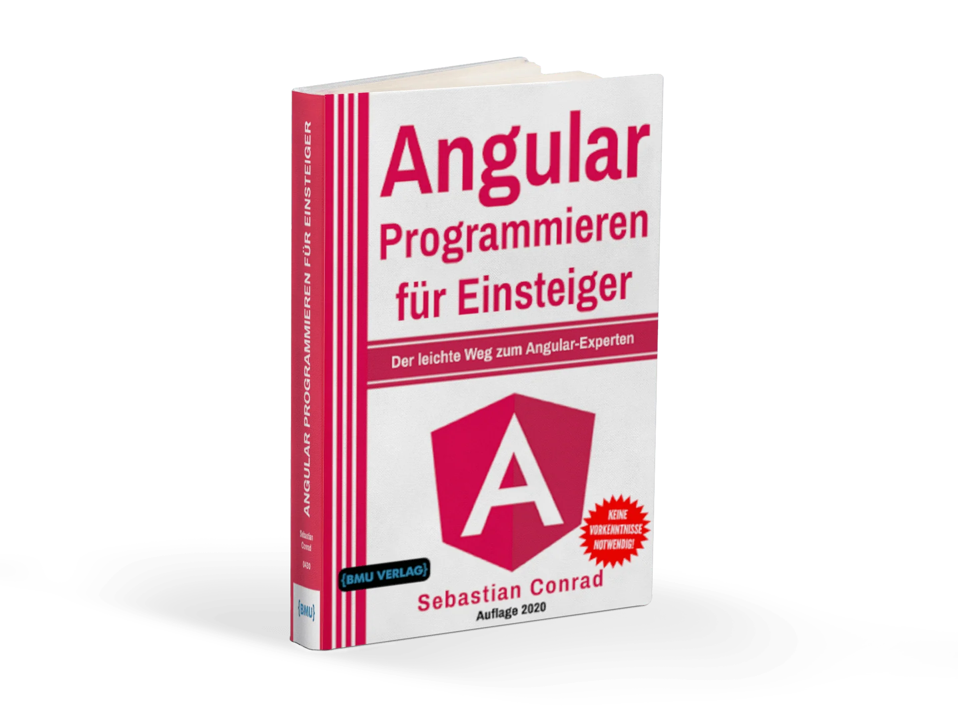 Angular: Programmieren für Einsteiger: Der leichte Weg zum Angular-Experten