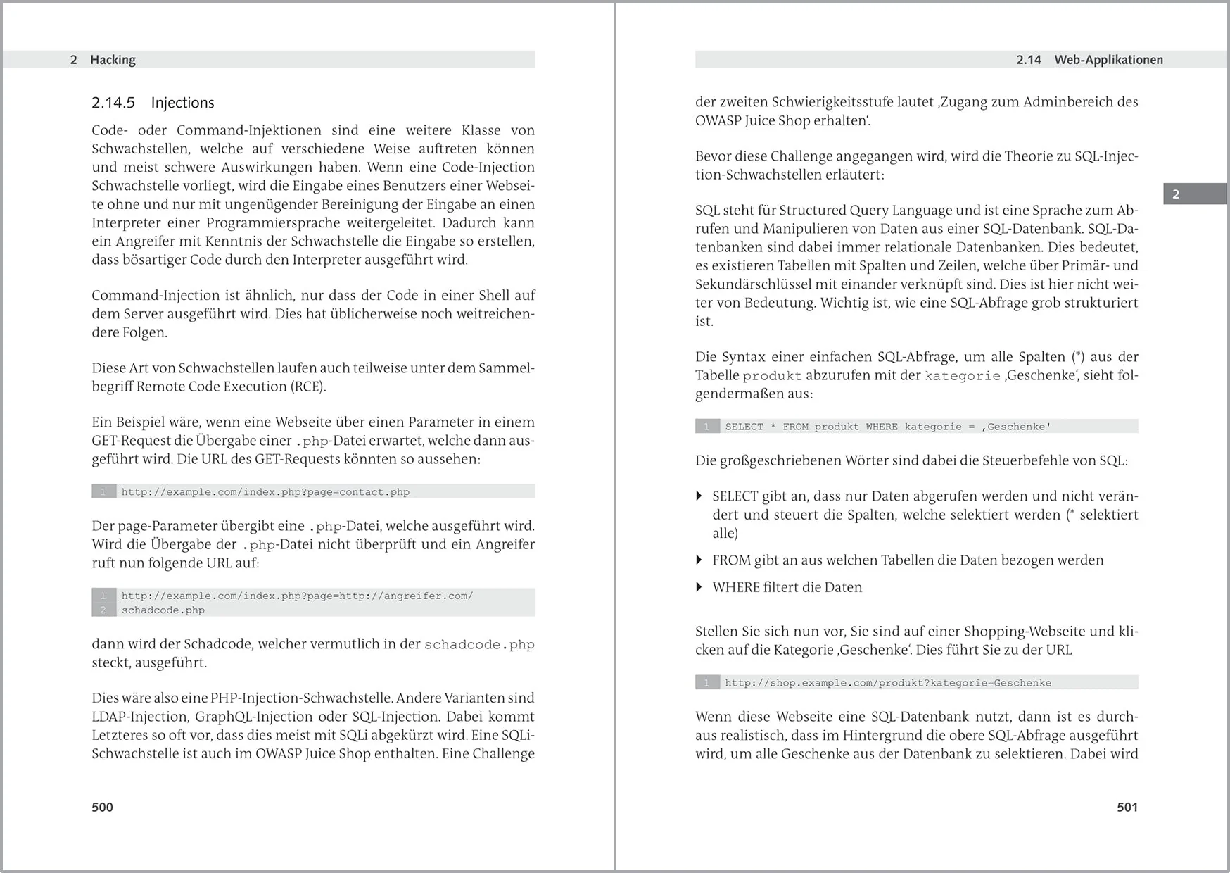 Hacking und IT-Security für Einsteiger: Der leichte Weg zum IT-Security-Experten - Image 8