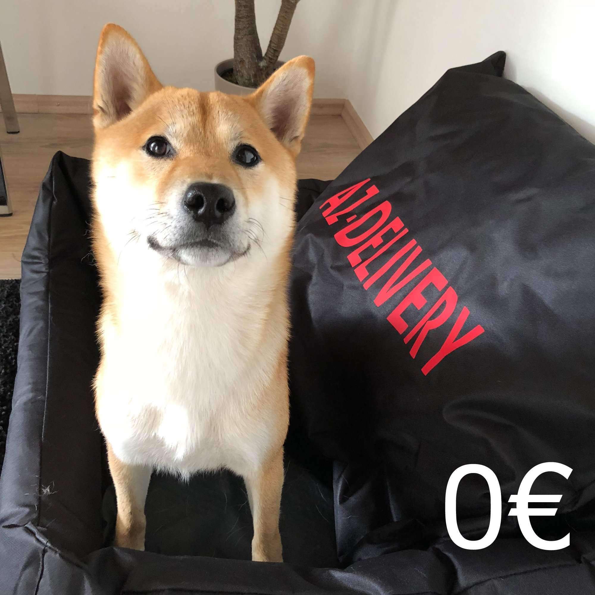 Leckerli für Yoshi - Image 2