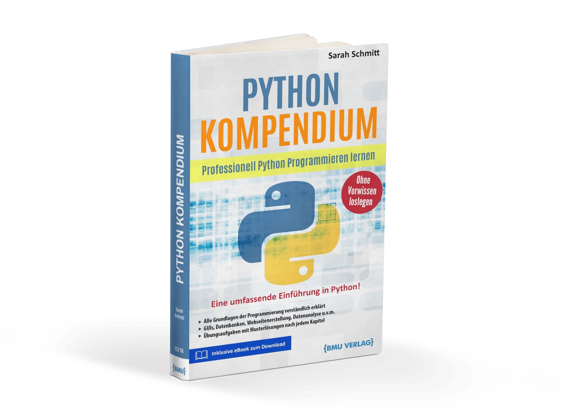 Python Kompendium: Professionell Python Programmieren Lernen